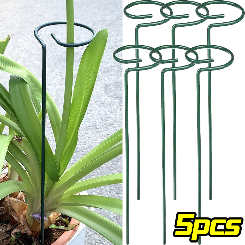 Supply For Florist - 1/10 pçs suporte de jardim anel