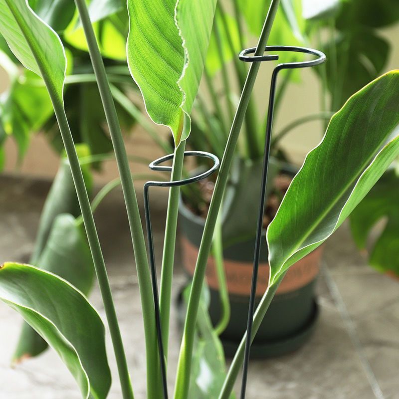 1/10 pçs suporte de jardim ane - Supply For Florist avaliação e preço