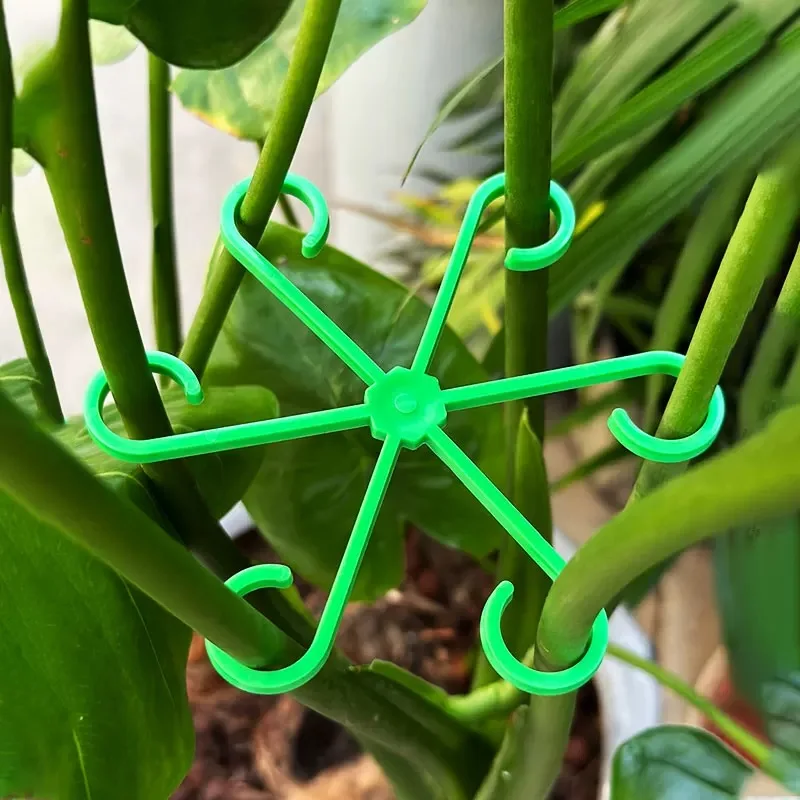 Flower Plant Stem Support Stak - Supply For Florist avaliação e preço