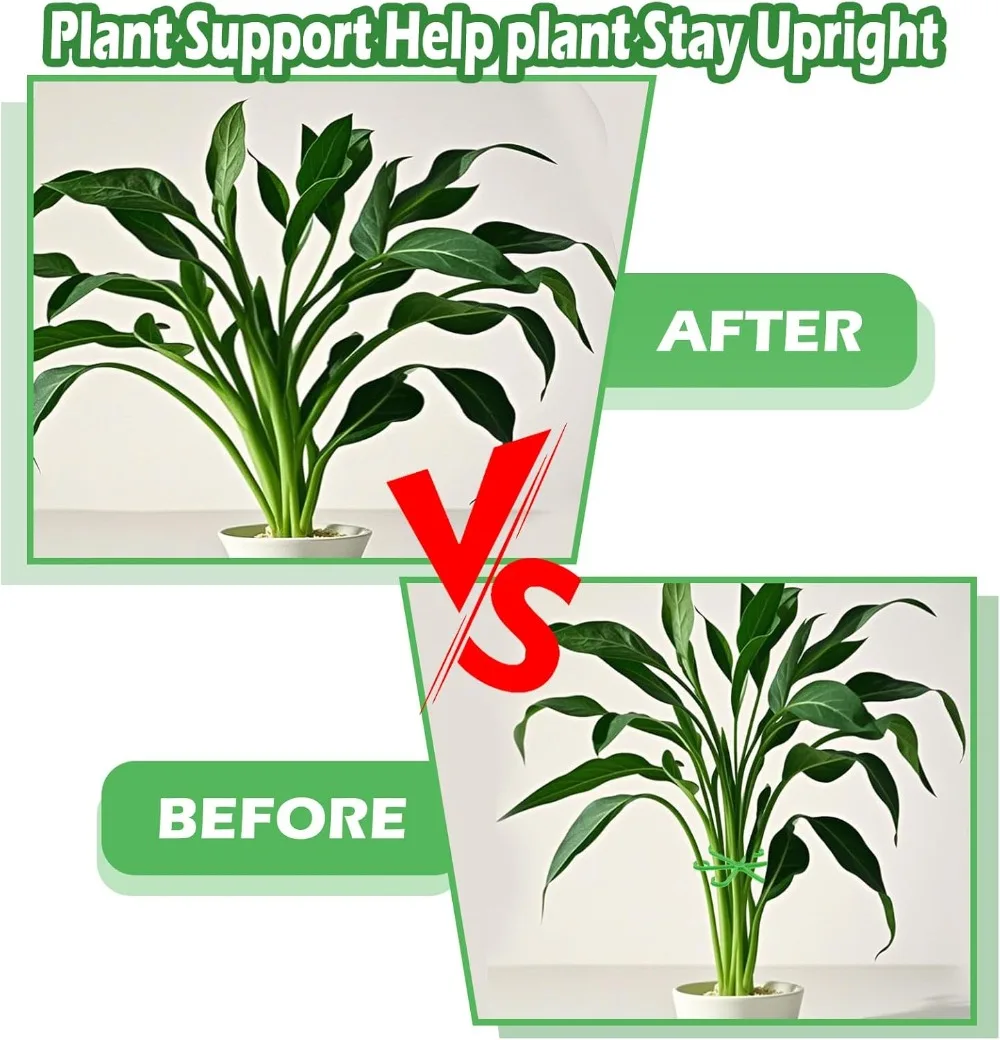 Flower Plant Stem Support Stak - Supply For Florist avaliação e preço