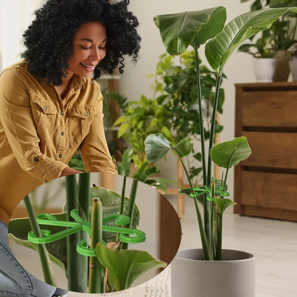 Flower Plant Stem Support Stak - Supply For Florist avaliação e preço