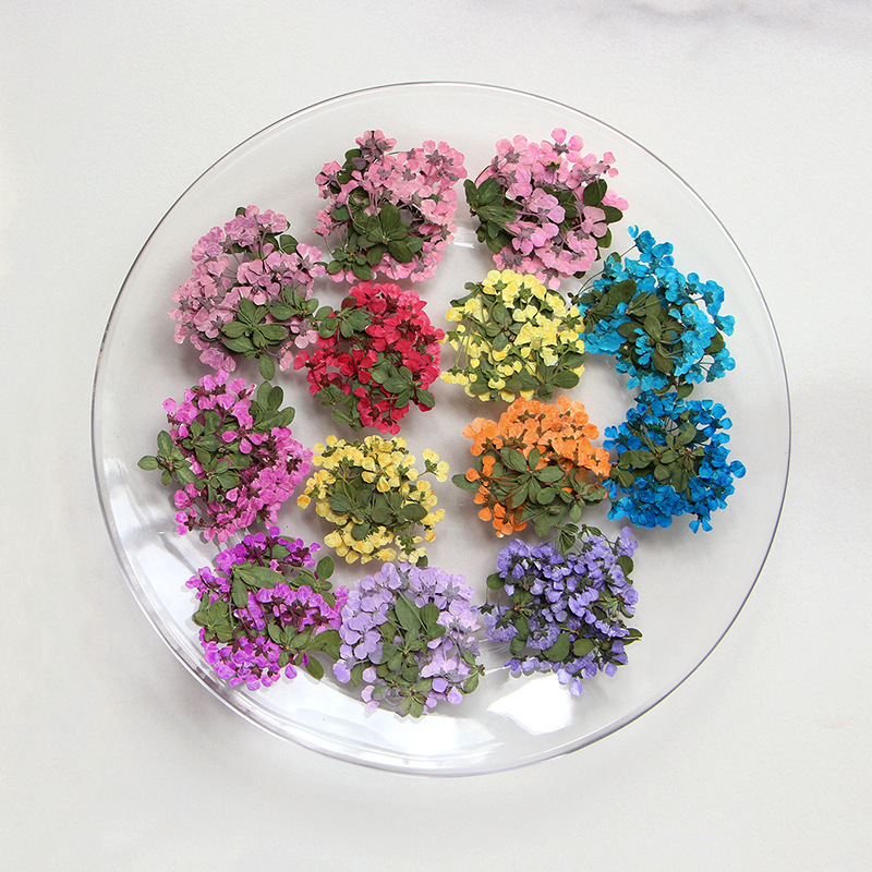2-3cm/12pcs, Pequenas Flores P - Supply For Florist avaliação e preço