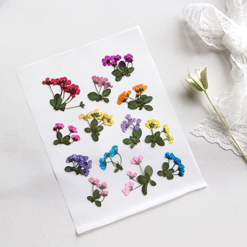 2-3cm/12pcs, Pequenas Flores P - Supply For Florist avaliação e preço