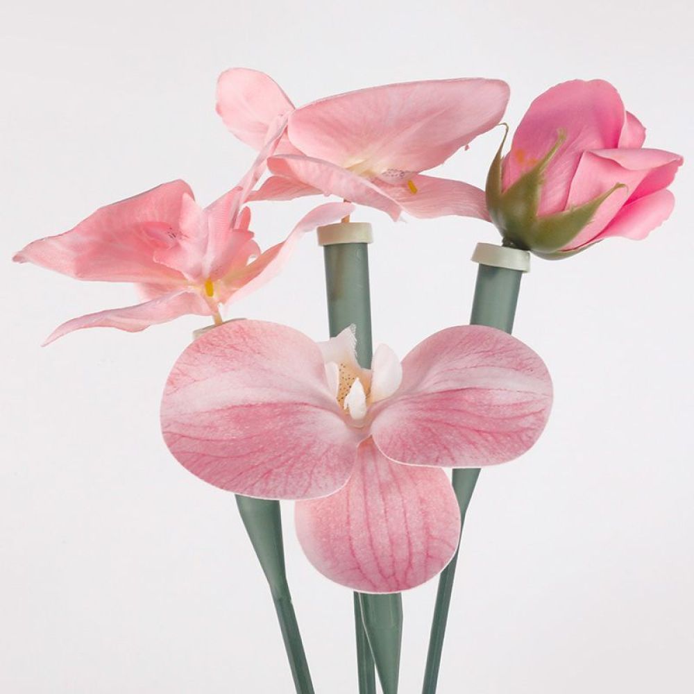 Tubos de Conservação Floral Tr - The Florist Supply Shop avaliação e preço
